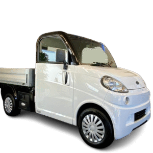 Seguro Ligier FLEX 505 CHASIS CABINA (2008)