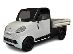 Seguro Microcar FLEX 480 DCI PICK UP (2010)